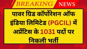 PGCIL Apprentice Recruitment 2024